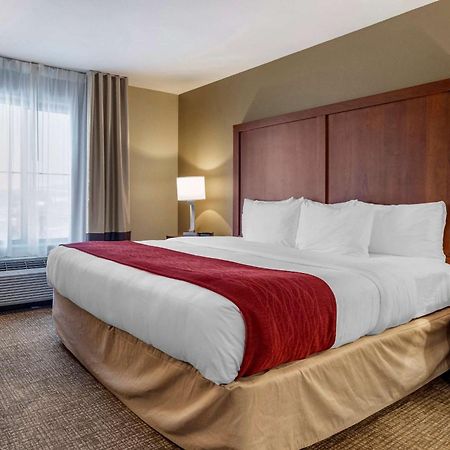 Comfort Inn & Suites Russellville I-40 Kültér fotó