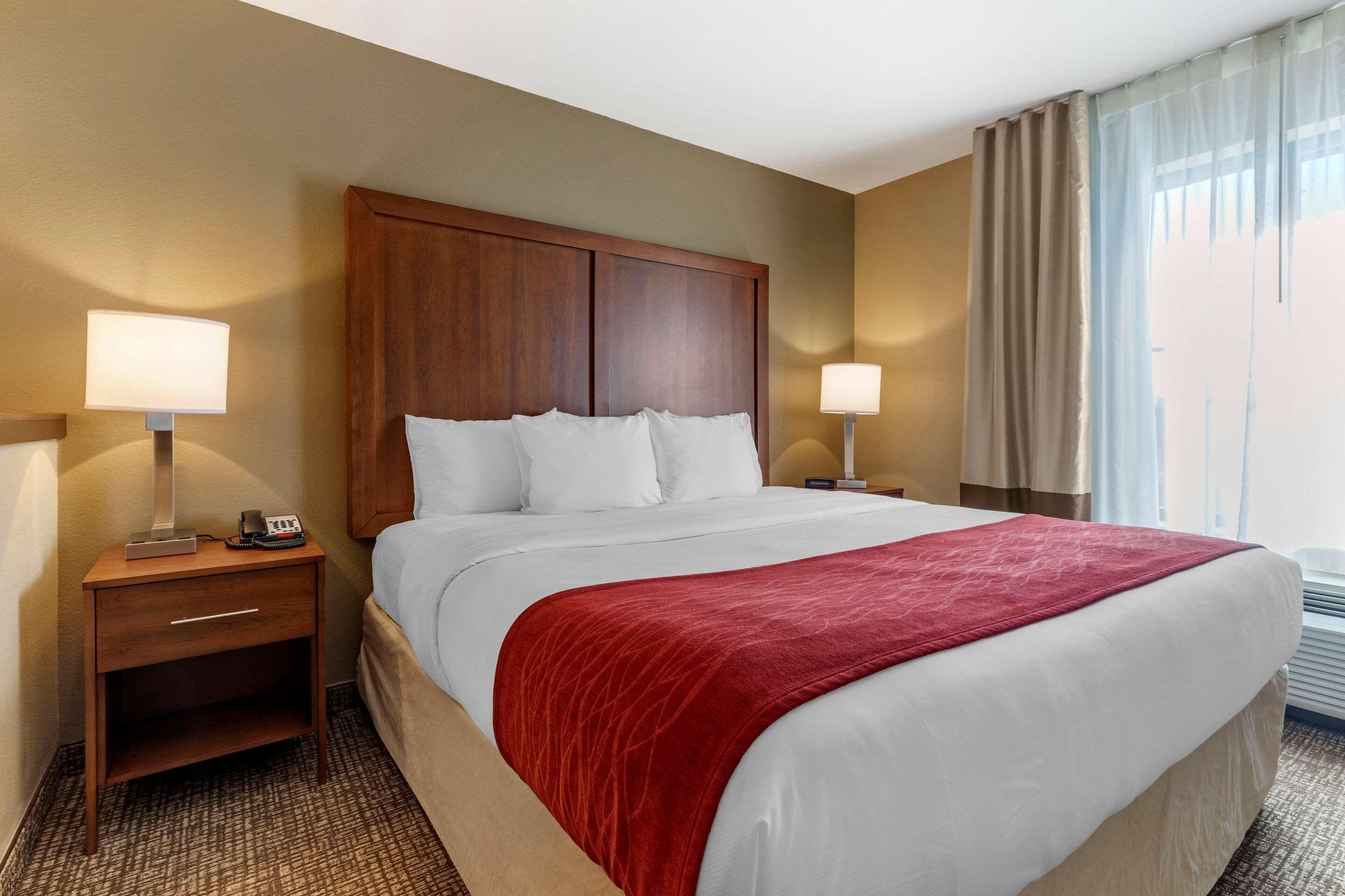 Comfort Inn & Suites Russellville I-40 Kültér fotó