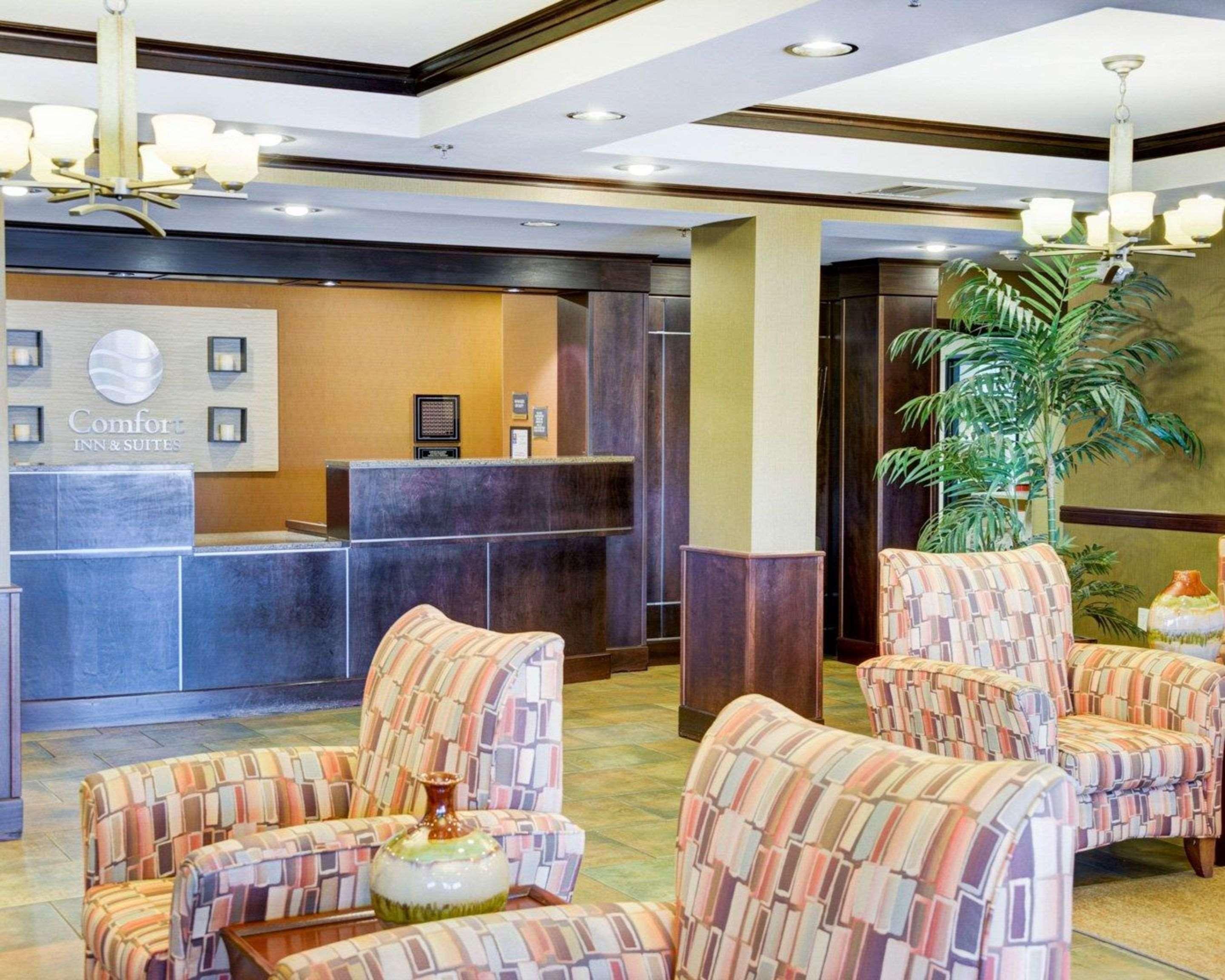 Comfort Inn & Suites Russellville I-40 Kültér fotó