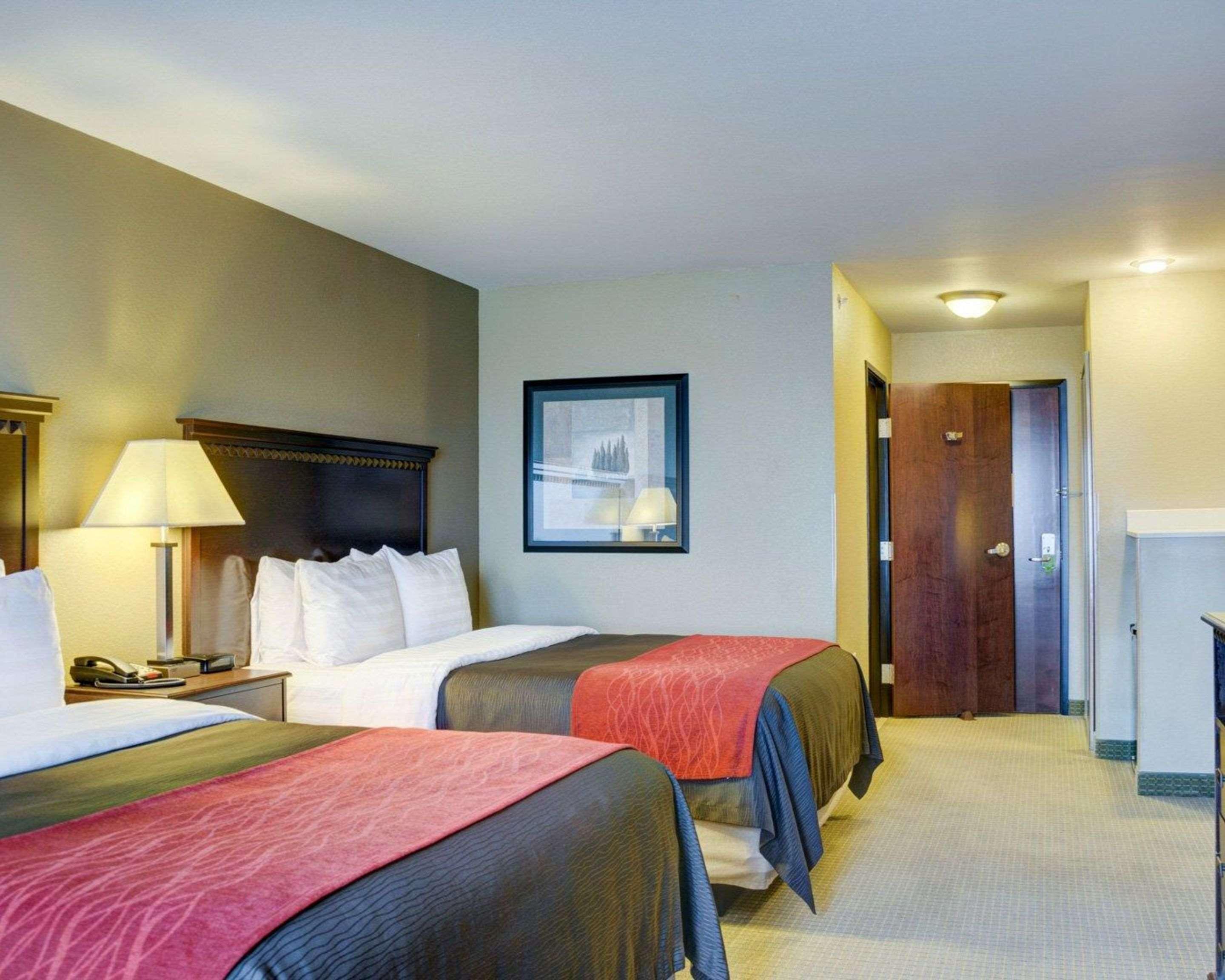Comfort Inn & Suites Russellville I-40 Kültér fotó