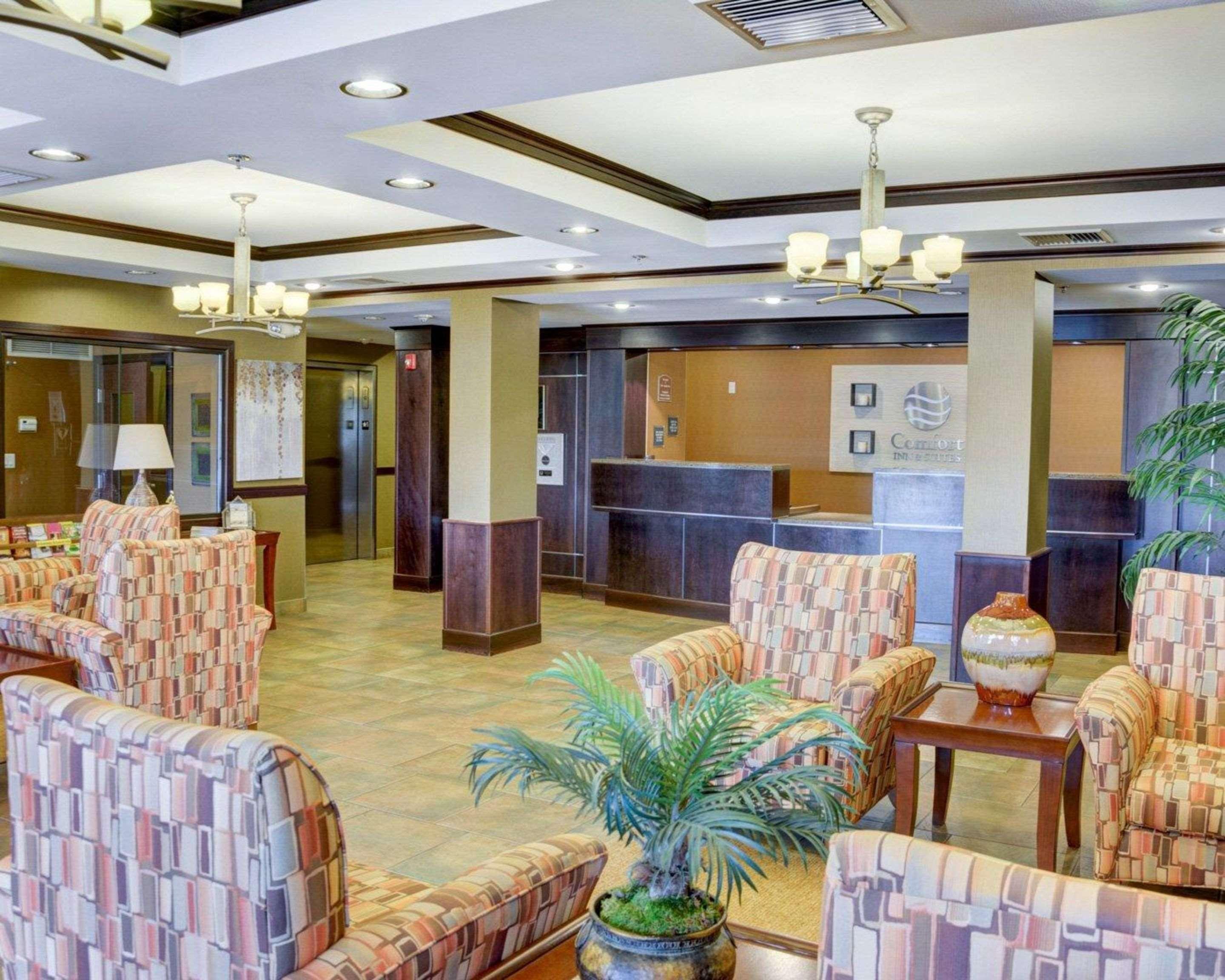 Comfort Inn & Suites Russellville I-40 Kültér fotó