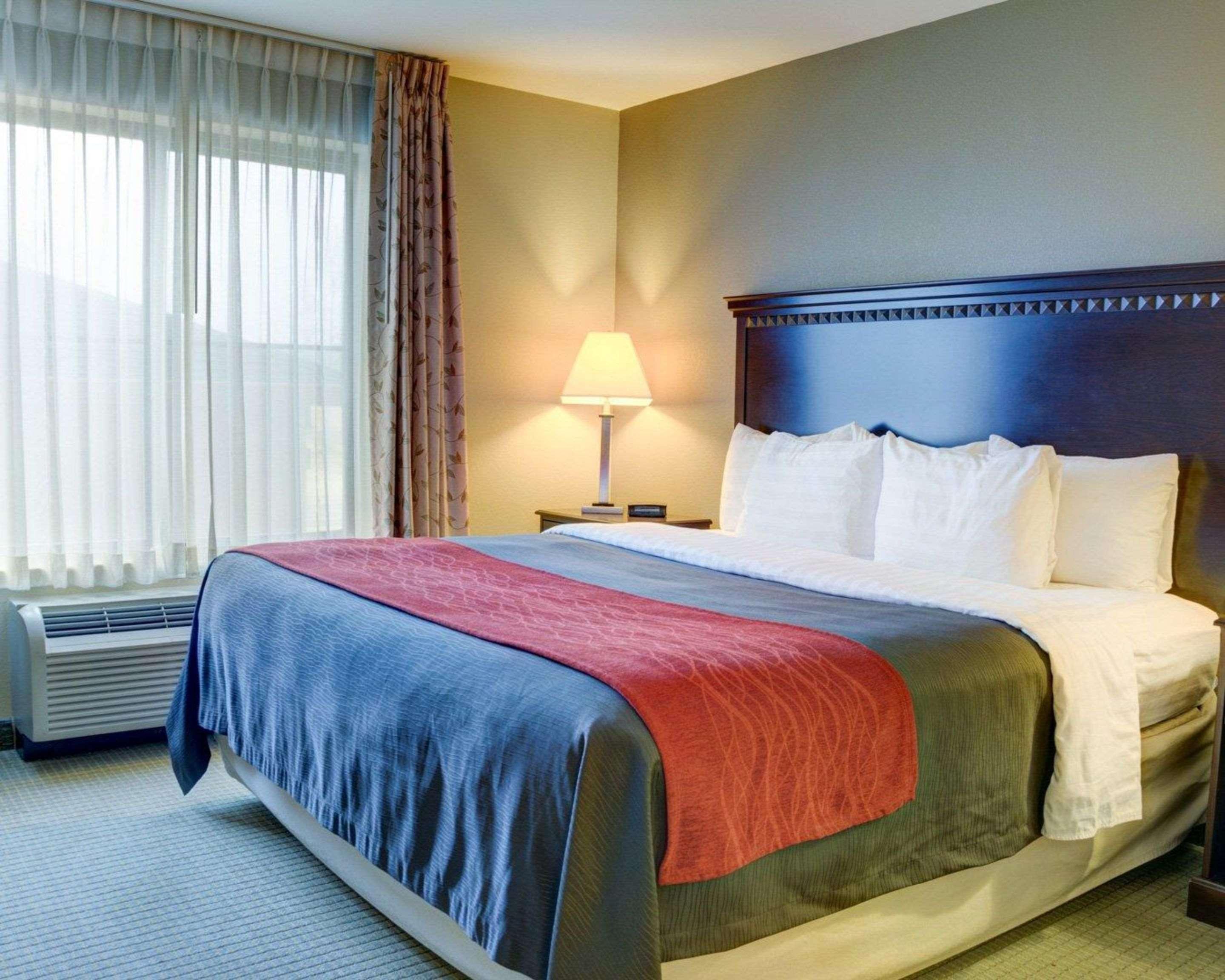 Comfort Inn & Suites Russellville I-40 Kültér fotó