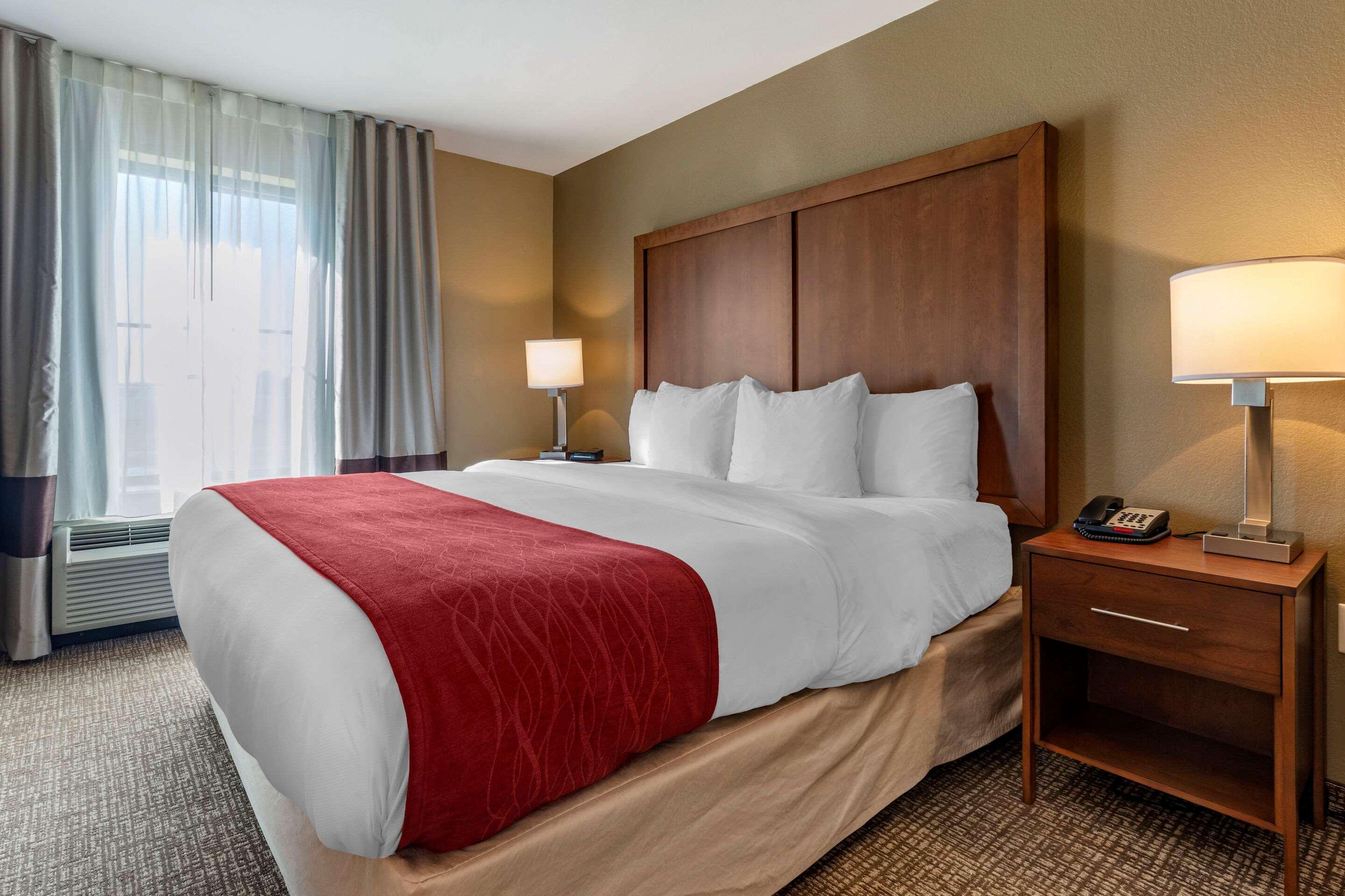 Comfort Inn & Suites Russellville I-40 Kültér fotó